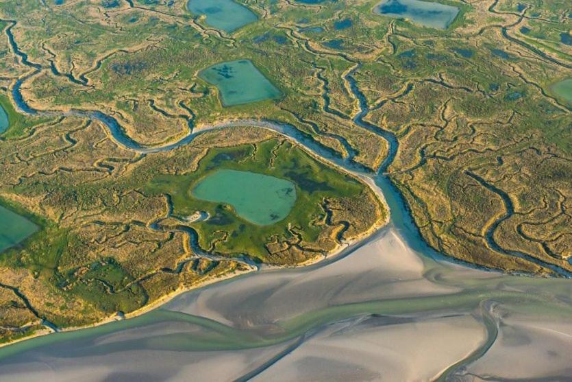 Le 101 - Les Locations Isahora Lägenhet Eu (Seine-Maritime) Exteriör bild